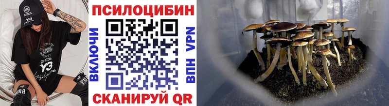 где продают   Покровск  Псилоцибиновые грибы мицелий 